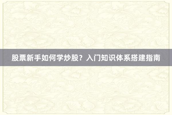 股票新手如何学炒股？入门知识体系搭建指南