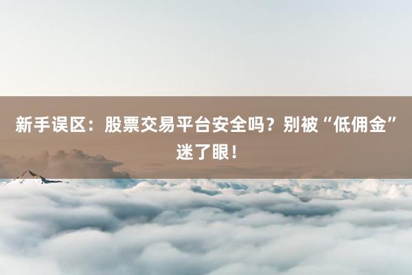 新手误区：股票交易平台安全吗？别被“低佣金”迷了眼！