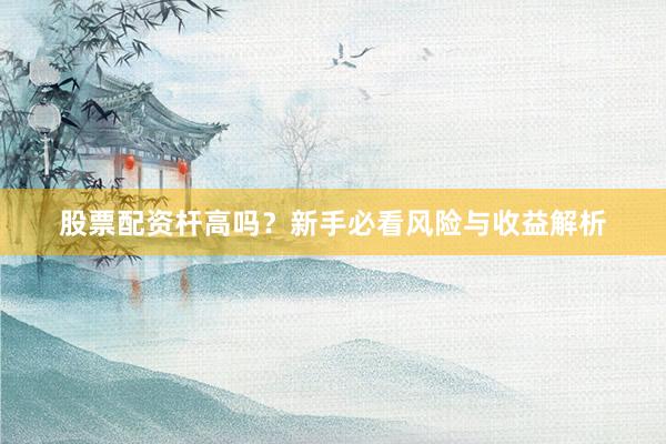 股票配资杆高吗？新手必看风险与收益解析