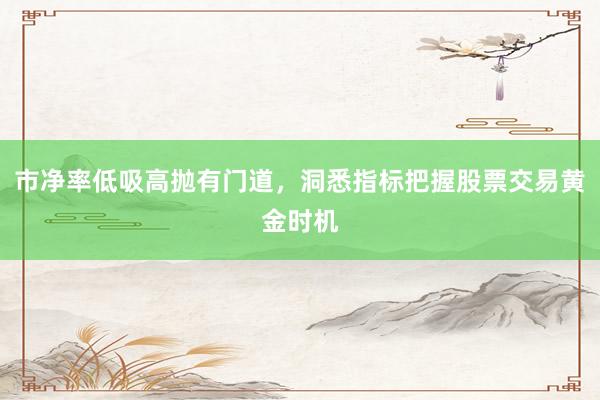 市净率低吸高抛有门道,洞悉指标把握股票交易黄金时机