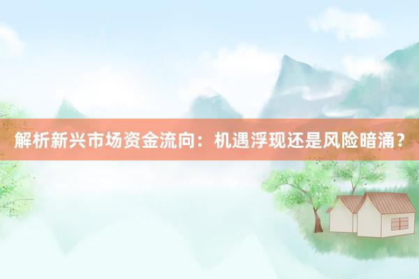 解析新兴市场资金流向：机遇浮现还是风险暗涌？