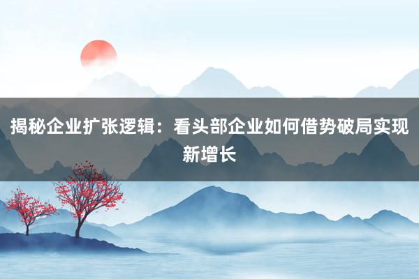 揭秘企业扩张逻辑：看头部企业如何借势破局实现新增长