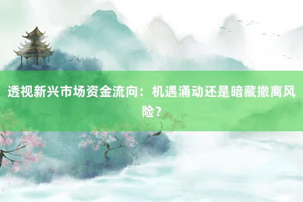 透视新兴市场资金流向：机遇涌动还是暗藏撤离风险？