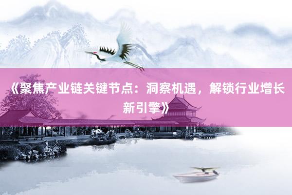 《聚焦产业链关键节点：洞察机遇，解锁行业增长新引擎》