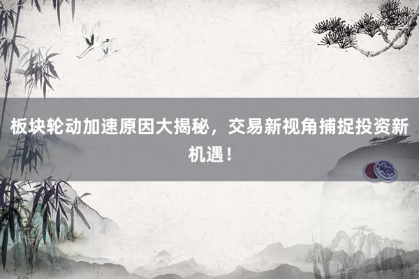 板块轮动加速原因大揭秘,交易新视角捕捉投资新机遇!