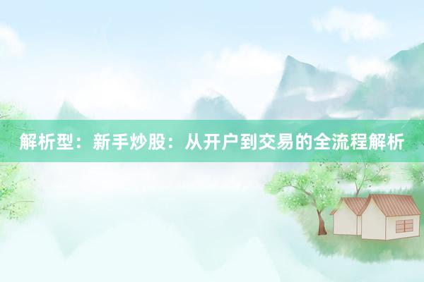 解析型：新手炒股：从开户到交易的全流程解析