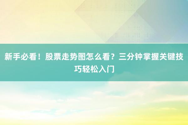 新手必看!股票走势图怎么看?三分钟掌握关键技巧轻松入门